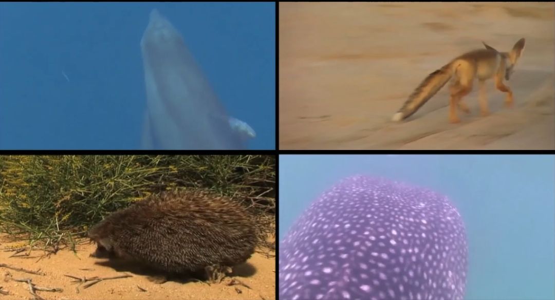 ʱ¼(й)